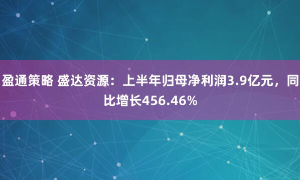 盈通策略 盛达资源：上半年归母净利润3.9亿元，同比增长456.46%